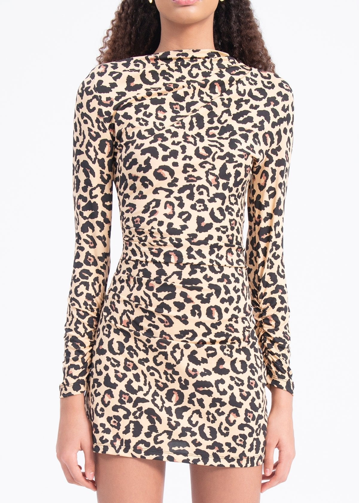 Gaiia Women Long Sleeve Mini Dress Leopard Print - Brown