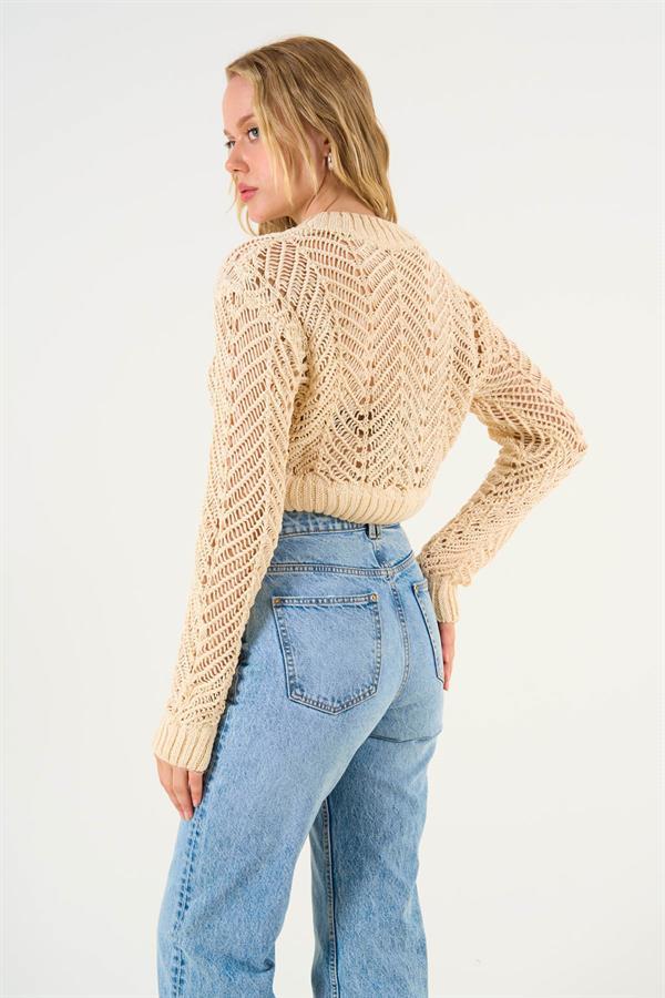 Gaiia Openwork Crop Sweater