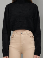 Solid Colour High Neck Pullover