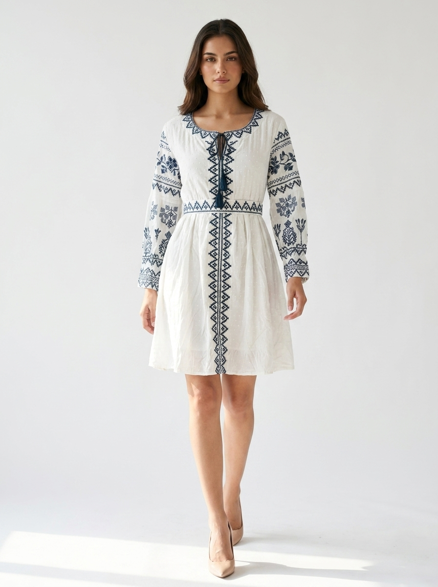 Embroidered Fit & Flare Dress