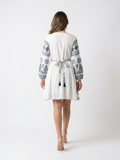 Embroidered Fit & Flare Dress